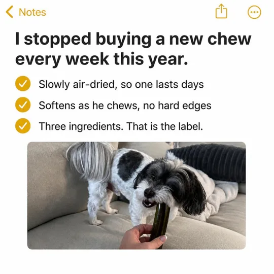 Fangz ad: a phone notes app page listing three reasons the chew lasts, over a photo of a dog with a chew
